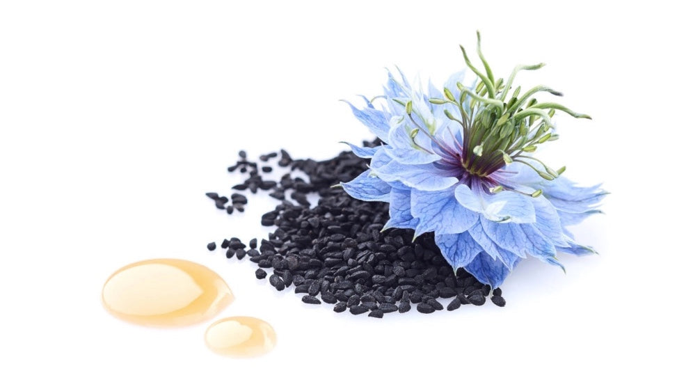 The Science of Black Cumin Seed Oil in Clay Masks glorioskin